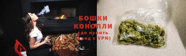 ПСИЛОЦИБИНОВЫЕ ГРИБЫ Аркадак