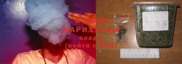 ПСИЛОЦИБИНОВЫЕ ГРИБЫ Аркадак