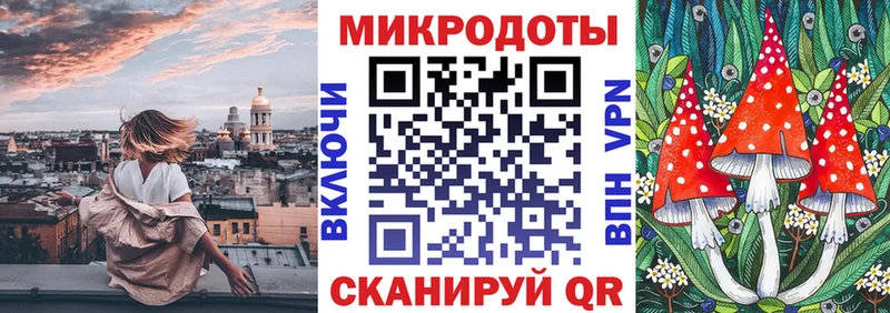дарнет шоп  Струнино  Псилоцибиновые грибы мицелий 